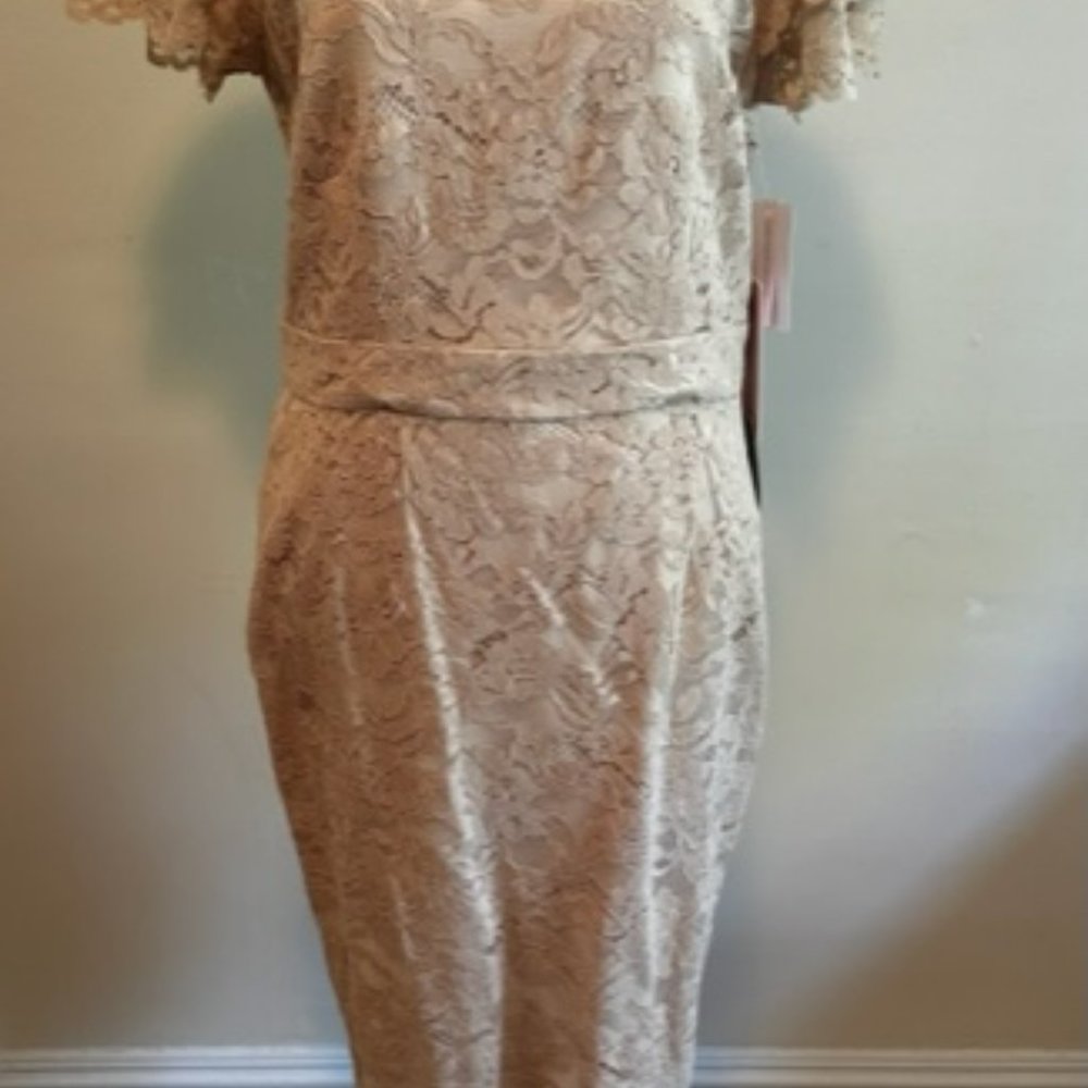 Blush lace flutter sleeve dress NWT